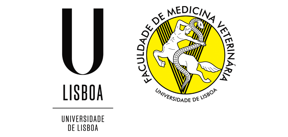 University of Lisbon